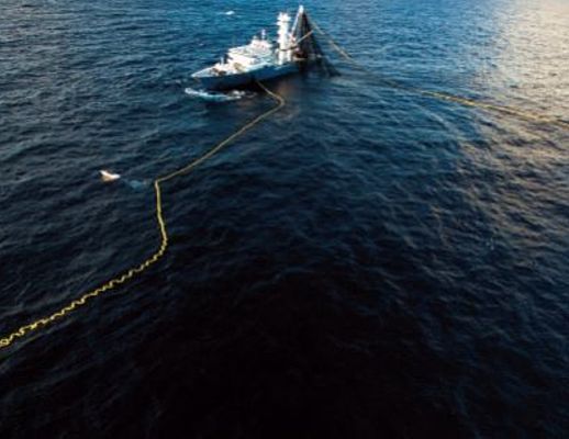 Paolo-Abbate foto - 19112014 mattanza art abbate 01