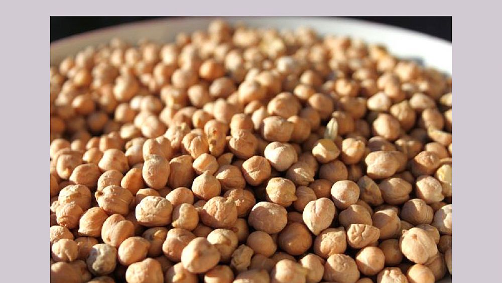 19112016 ceci di cicerale