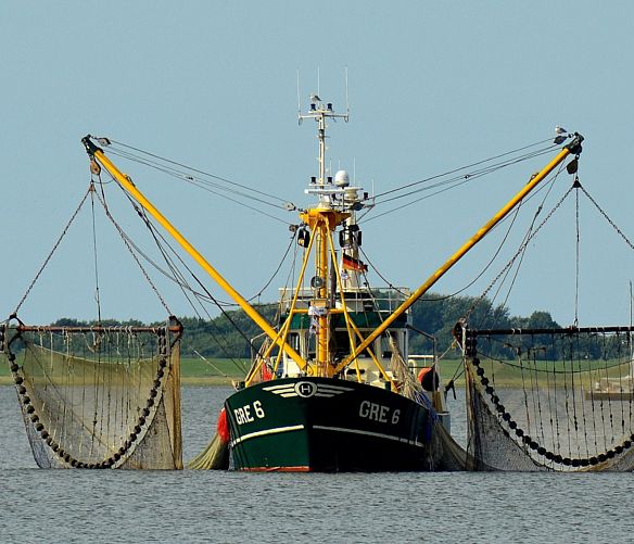 19112024 fishing boat 2645137 1920