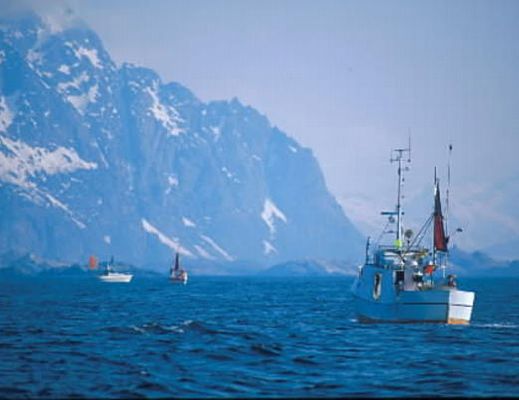 19122013 Gestione responsabile della pesca