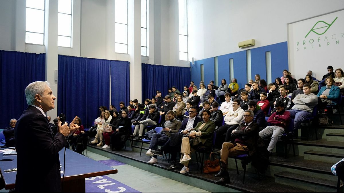 19122024 rucola prog 100 19122024 rucola prog 100