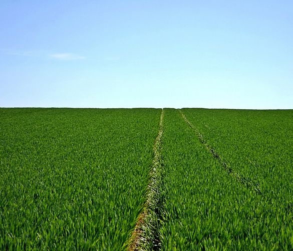 20012017 agricoltura