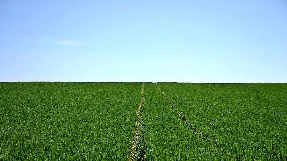 20012017 agricoltura