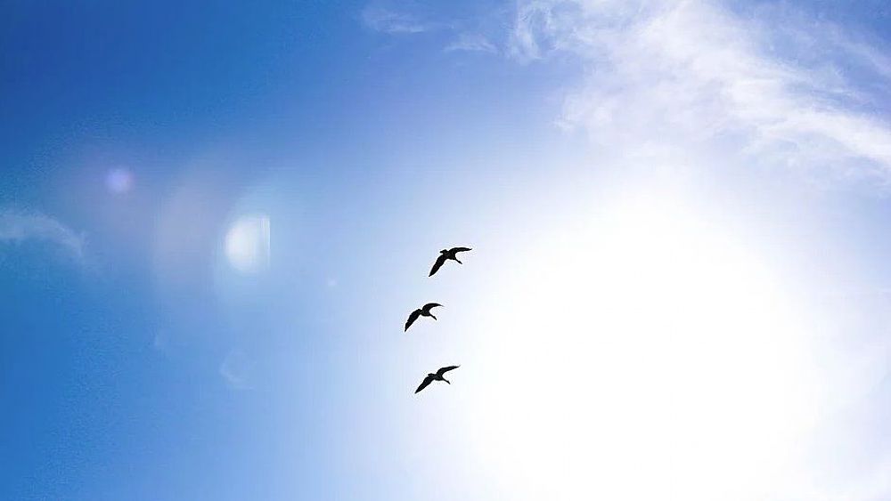 20012020 cielo sereno