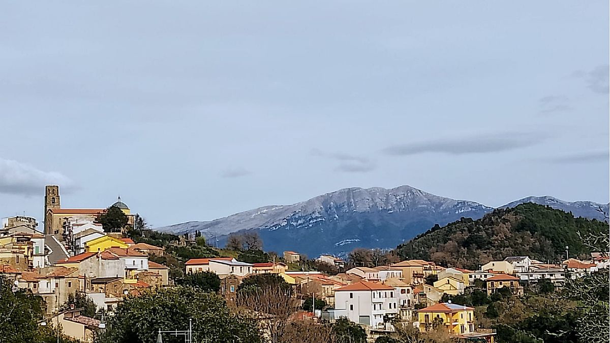 20012025 perito 20012025 perito