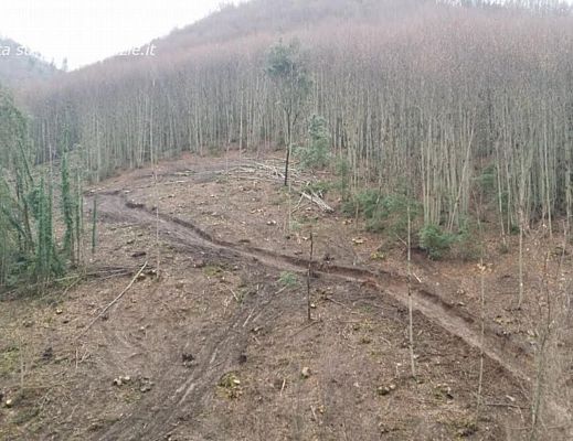 20022014 forestale sequestro ceraso