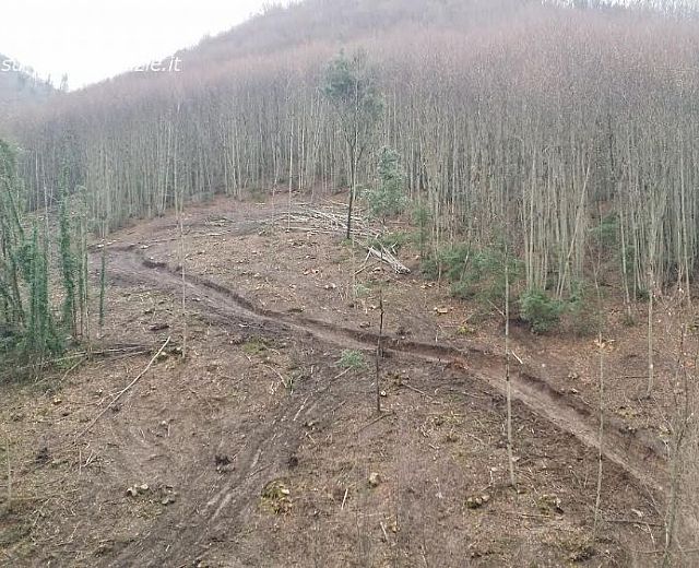 20022014 forestale sequestro ceraso