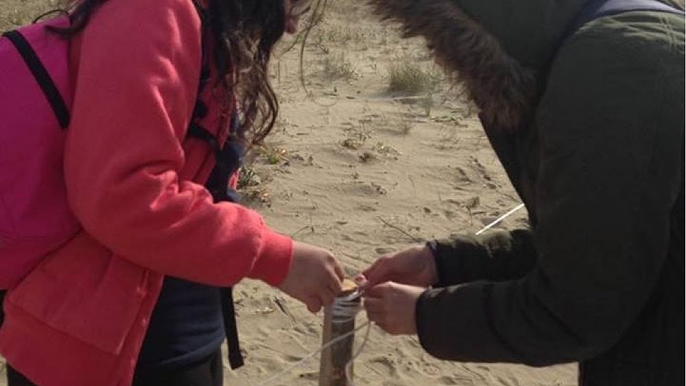 20022017 paletti rubati