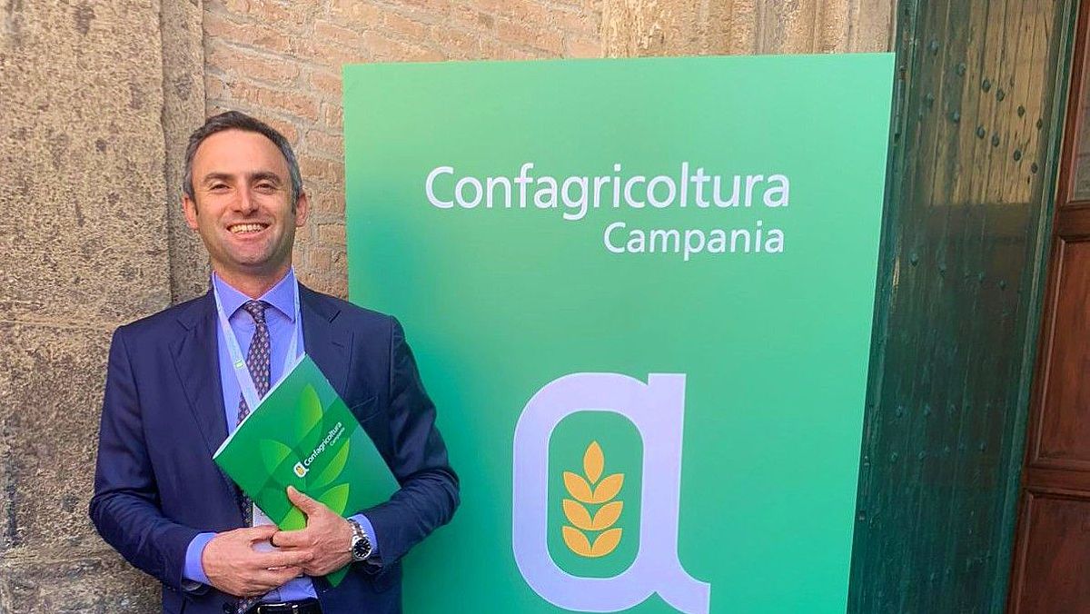 20022025 iemma 20022025 iemma