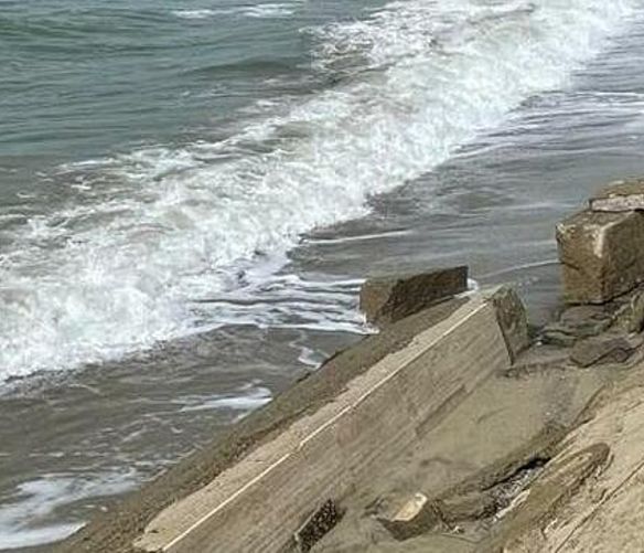 Foto della News