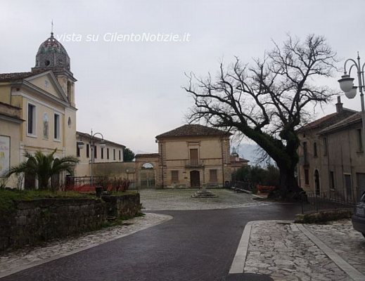 20032013 Tiglio Padula