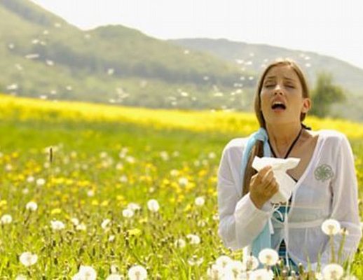20032013 allergie di primavera