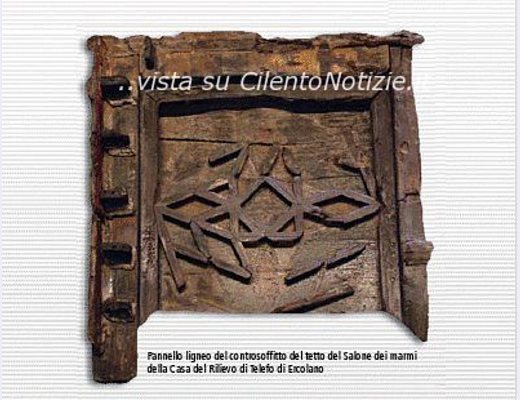 20032013 dendrocronologia