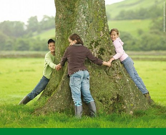 20032014 bcc redito che unisce