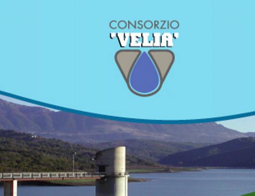 20032014 consorzio velia