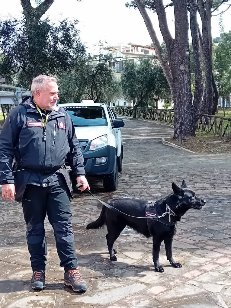 carabiniere con cane
