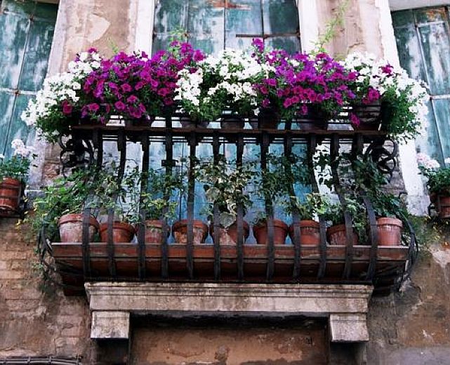 20042015 balconi fiore