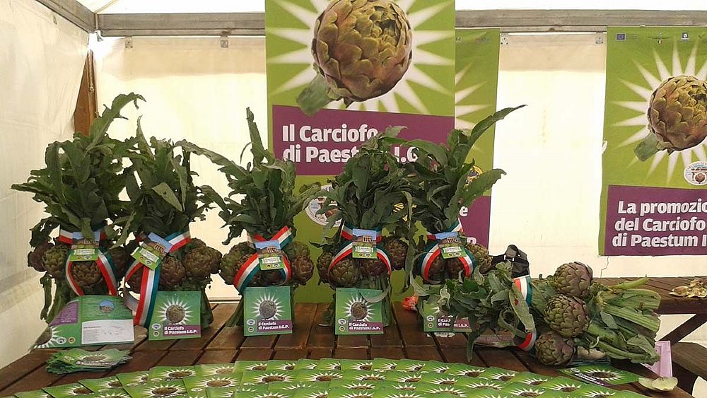 20042018 Carciofo di Paestum IGP