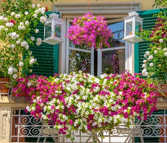 20042018 balcone fiorito