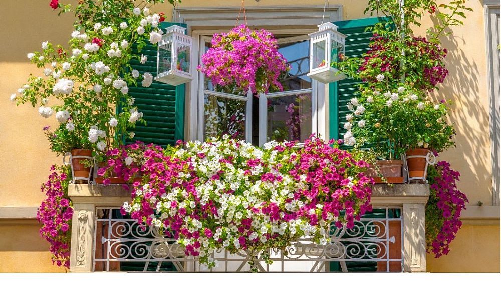 20042018 balcone fiorito 20042018 balcone fiorito