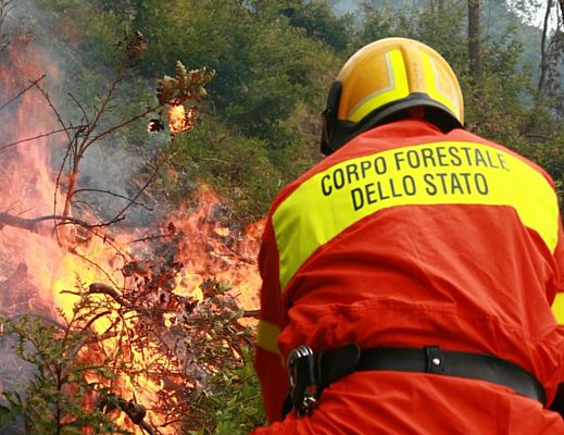 20052015 incendi nel cilento