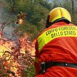 Cilento - Le ultime  Notizie foto - 20052015 incendi nel cilento