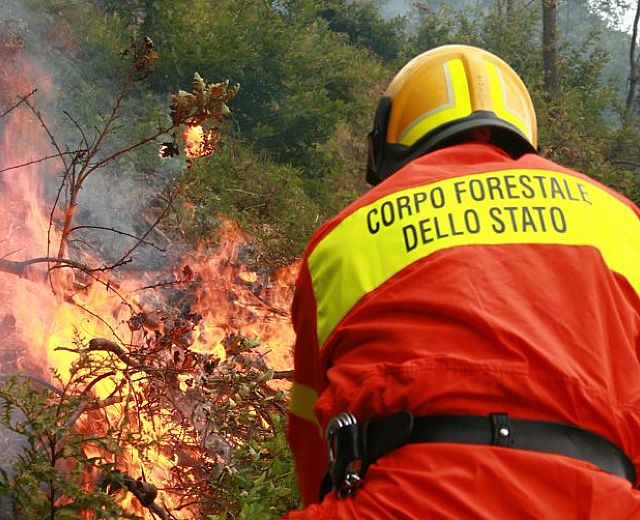 20052015 incendi nel cilento