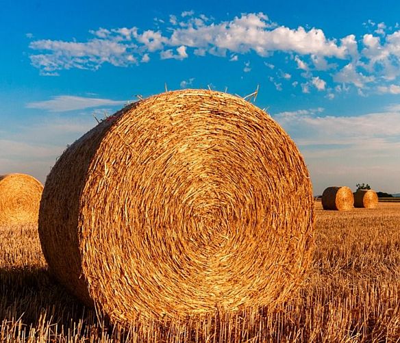 20052019 agricoltura