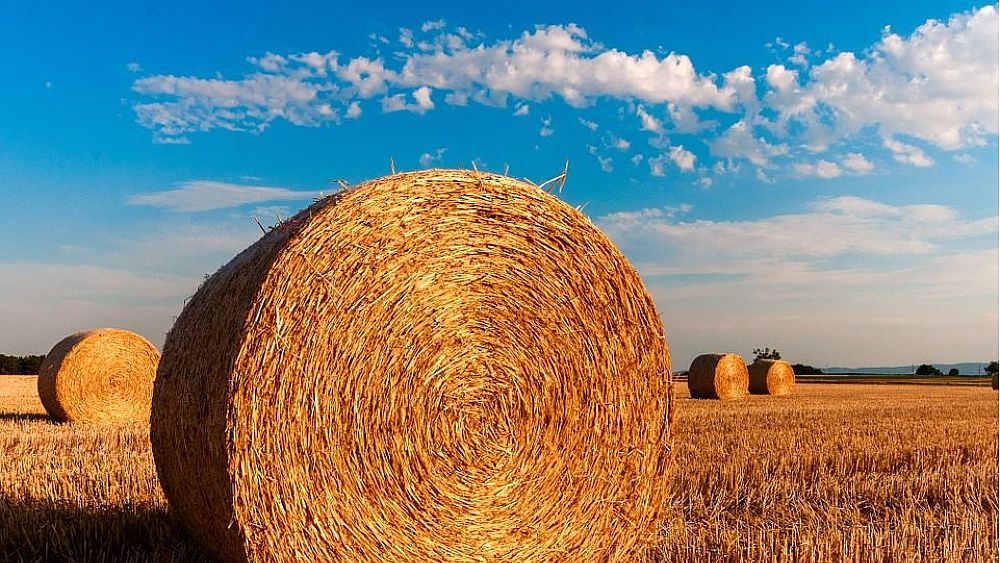 20052019 agricoltura