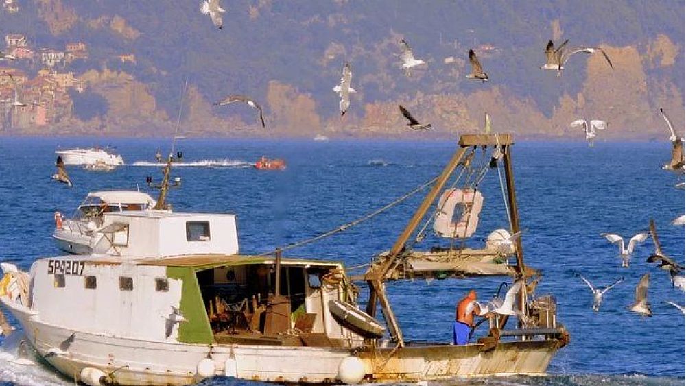 20052020 peschereccio