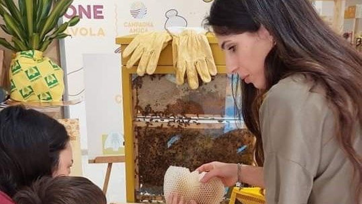 20052024 api coldiretti 20052024 api coldiretti