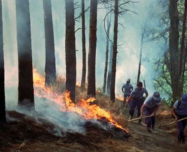 20062013 incendio boschivo