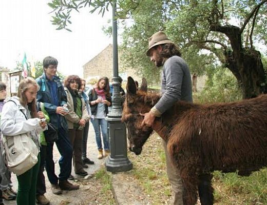 20062014 antonio pellegrino