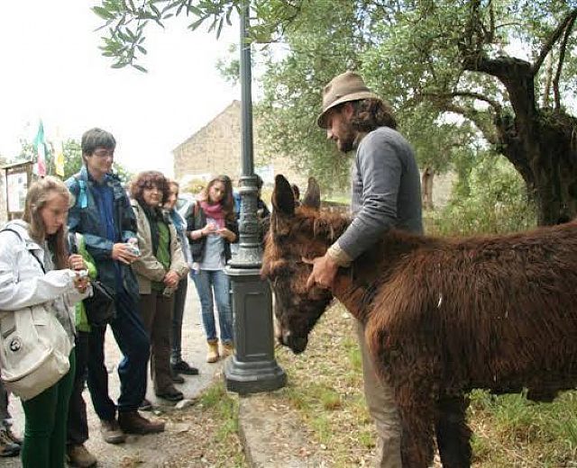 20062014 antonio pellegrino