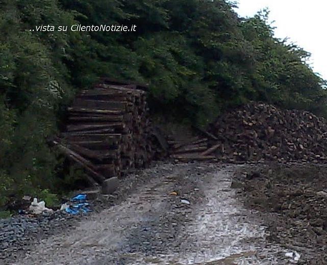 20062014 mingardo occupazione demaniale 01