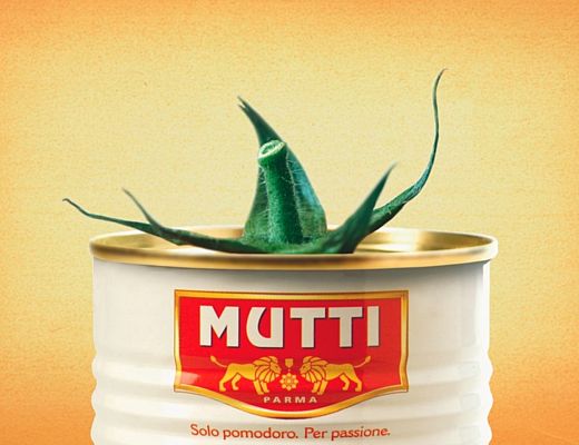 20062014 pomodori mutti