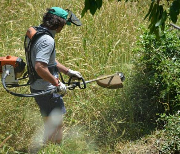 20062019 tagliare erba contro incendi