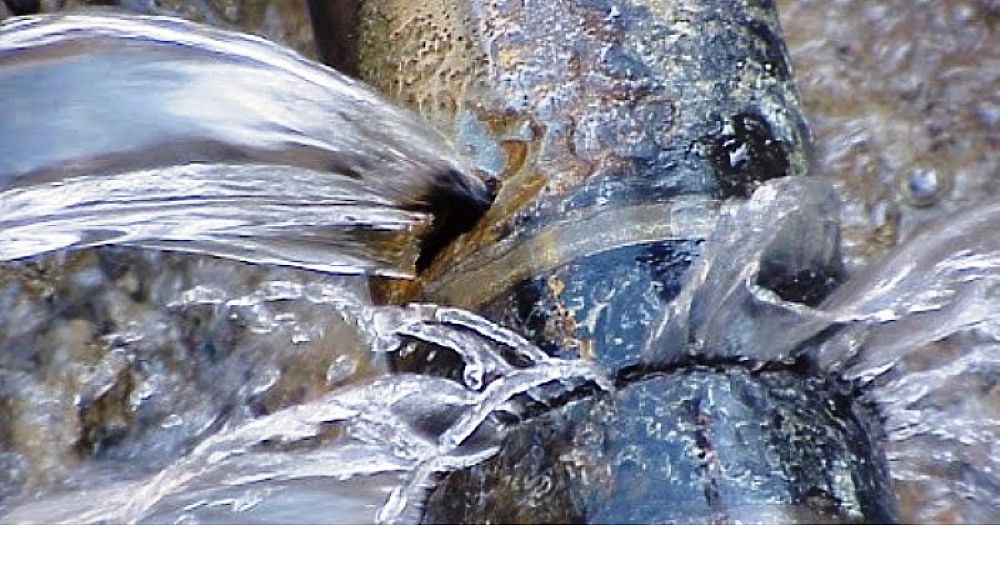 20062022 reti idriche colabrodo