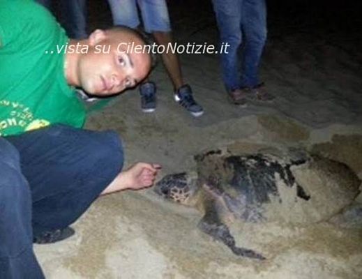 Paolo-Abbate foto - 20072013 tartaruga caretta caretta palinuro