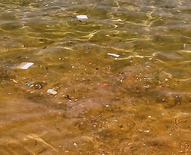 20072015 sversamenti in mare