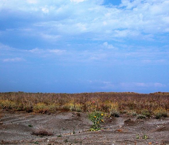 Paolo-Abbate foto - 20072016 DUNA A GRISOLIA