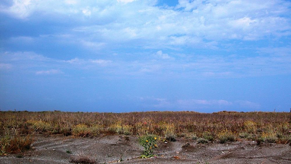 20072016 DUNA A GRISOLIA 20072016 DUNA A GRISOLIA