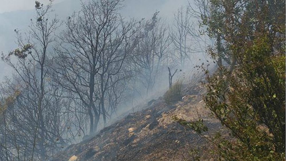 20072017 fiamme lacco acquavella