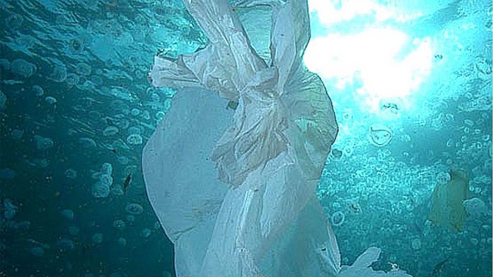 20072017 rifiuti in mare