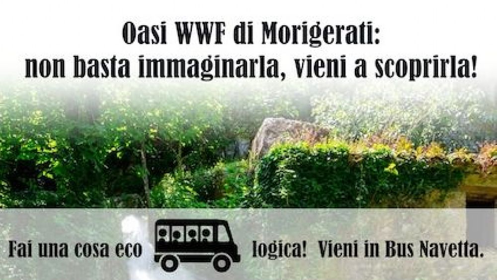 20072018 locandina 52