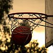Sport foto - 20082015 Basket