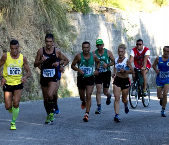 20082018 maratona ulivi pisciotta
