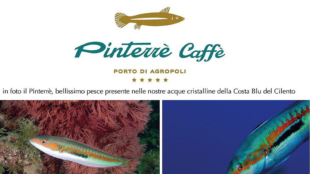 20082021 pinterre foto