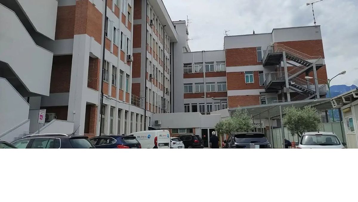 20082025 po oliveto citra 20082025 po oliveto citra