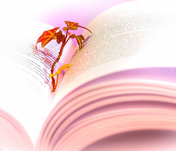 20092018 libro poesie